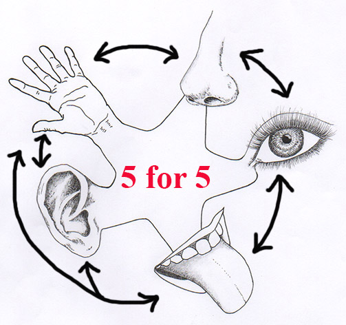 5 for 5 - Revisiting the Senses