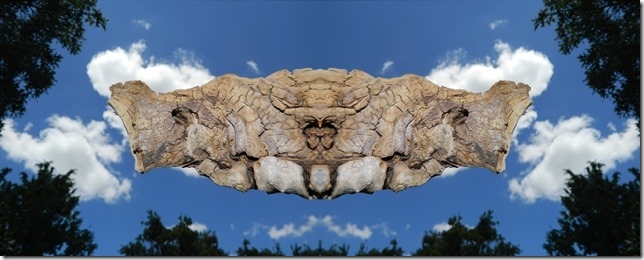 Callida Borgnino, Between Blinks