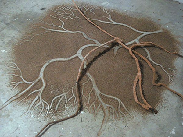 Suzanne Paquette - Terra Tales/Anew